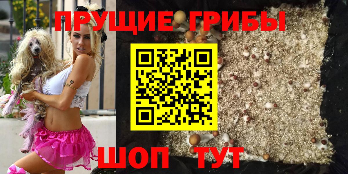 Галлюциногенные грибы Magic Shrooms  Вход с VPN  где можно купить наркотик  Псилоцибиновые грибы Magic Shrooms  Ревда 